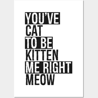 You've Cat To Be Kitten Me Right Meow Posters and Art